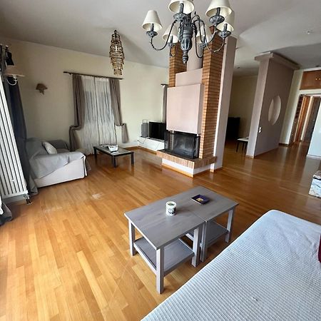 City Center Apartment Preveza Bagian luar foto